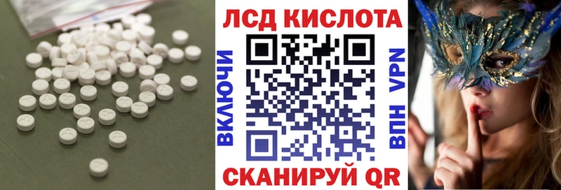 дарк нет клад Камышин Лсд 25 экстази ecstasy