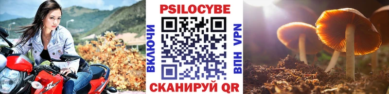 Галлюциногенные грибы GOLDEN TEACHER darknet наркотические препараты Камышин