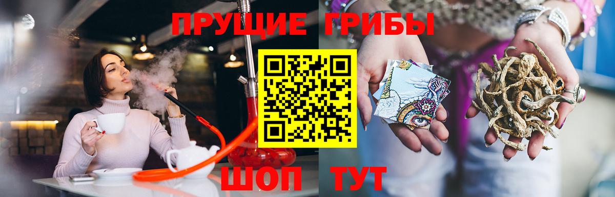Псилоцибиновые грибы мицелий Камышин