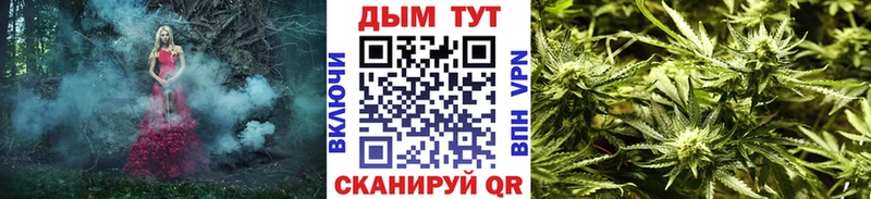 Канабис OG Kush Камышин